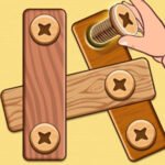 Nut Bolt Puzzle Game